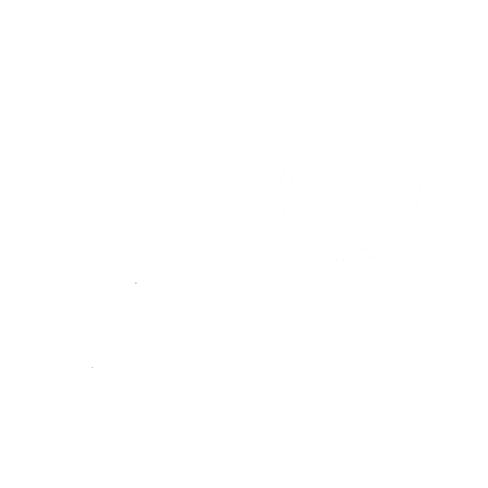 Steam Icon